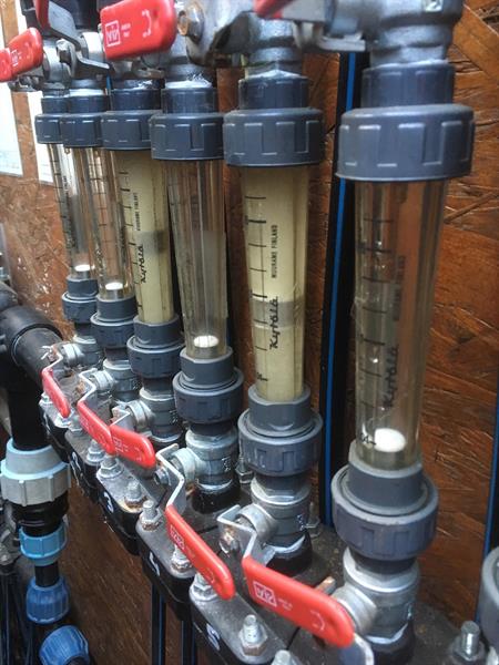 Biological approach of oil products | T & K Service